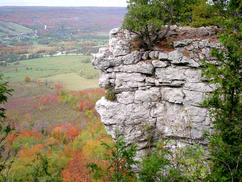 Imgp0983