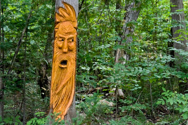 20070909 Trees 011