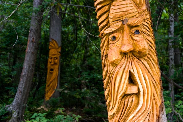 20070909 Trees 012