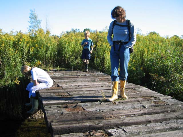 Img 7702