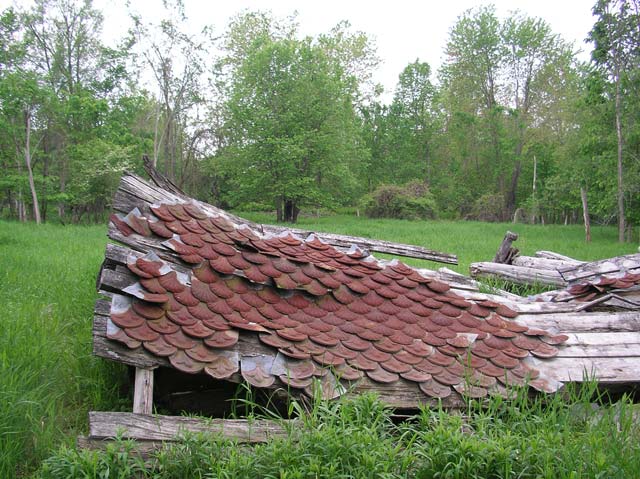 13 Forgotten Dream Home