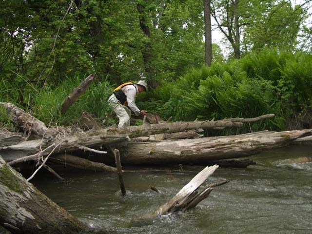 16 Crossing The Log Jam