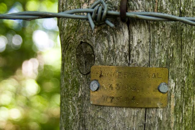 Geocache find #600 - tag Geocache find #600 - tag