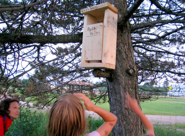 Riley's Travelbug Treehouse