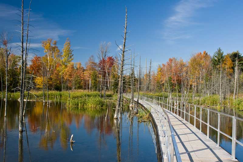 Floating Trail - Bear Creek Wetlands