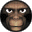 ape.gif