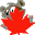 gc10000_b.gif