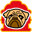 NeilsenC Pug Geocoin icon