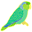 parrolet.gif