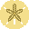 sanddollar.gif