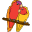 tikibirds