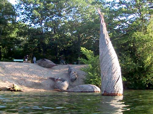 IMG 4509