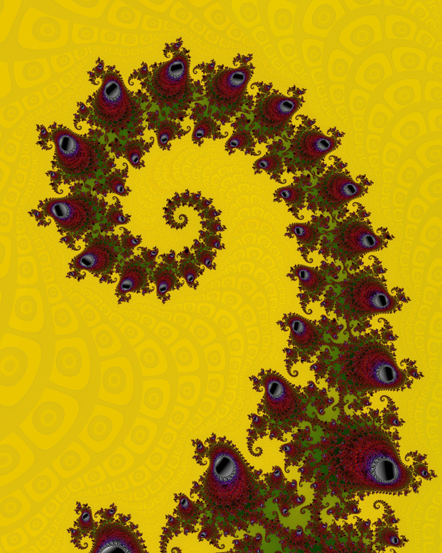 Fiddlehead