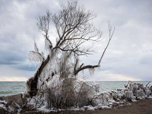 Point Pelee