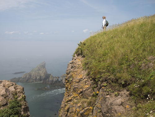 Album 3 - Homeward Bound