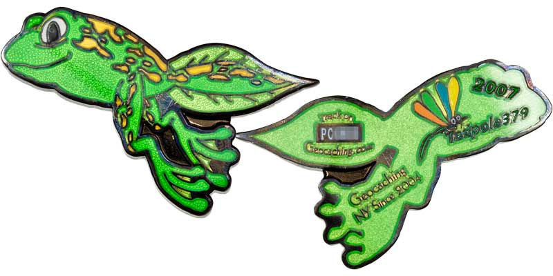 Tadpole379 2007 (B.Nickel 2)